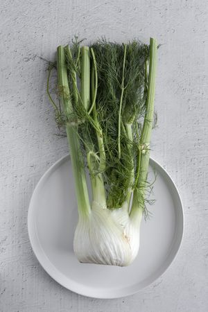 Fresh raw fennel