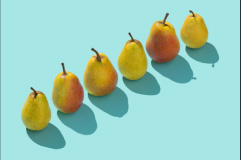 Diagonal Line Of Pears Photo