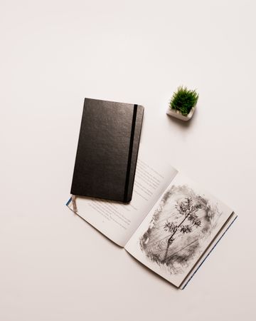 Top view of open sketchbook and and a plant